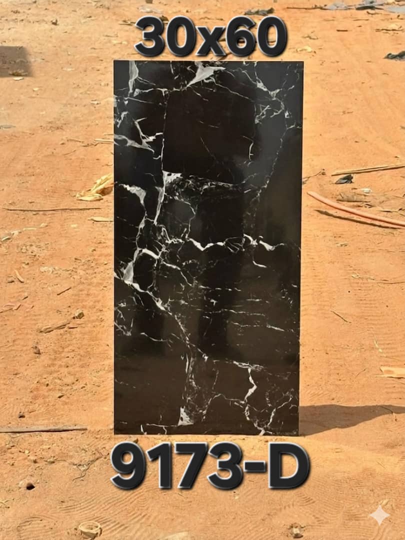 Carrelage Effet Marbre Noir Premium – Réf. 9173-D