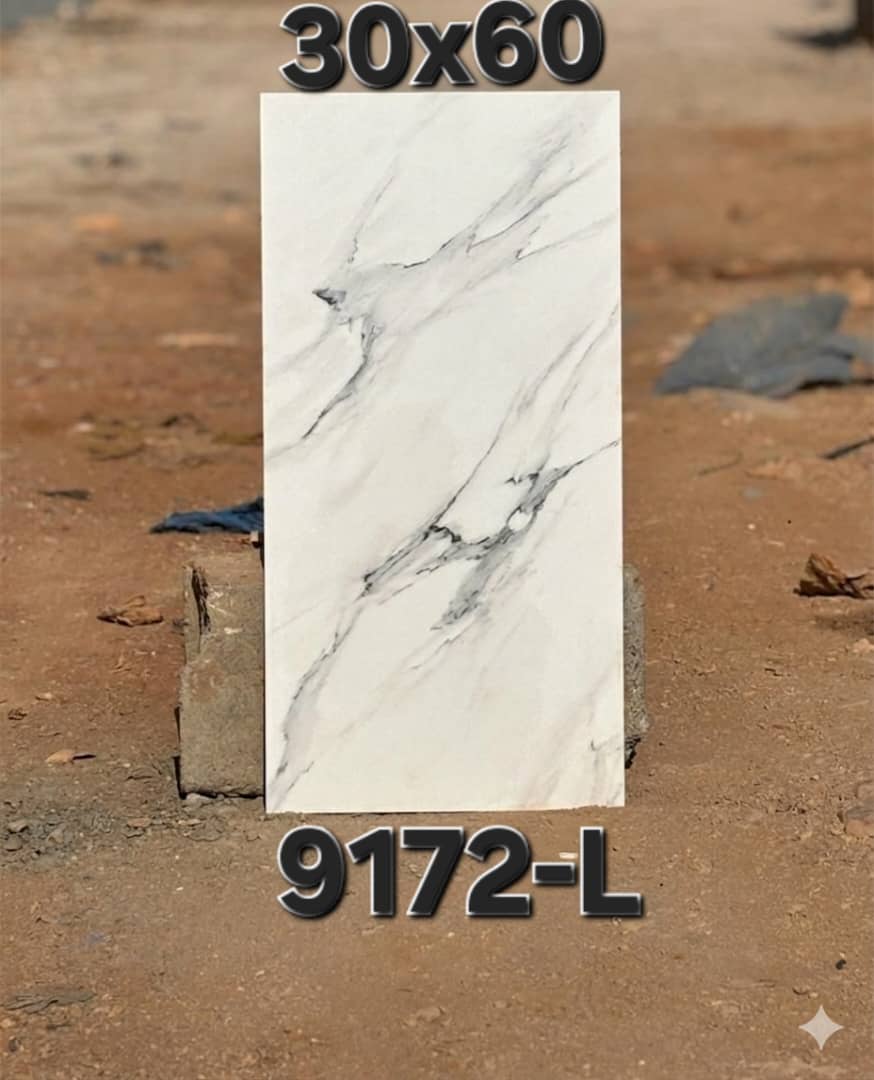 9172-L