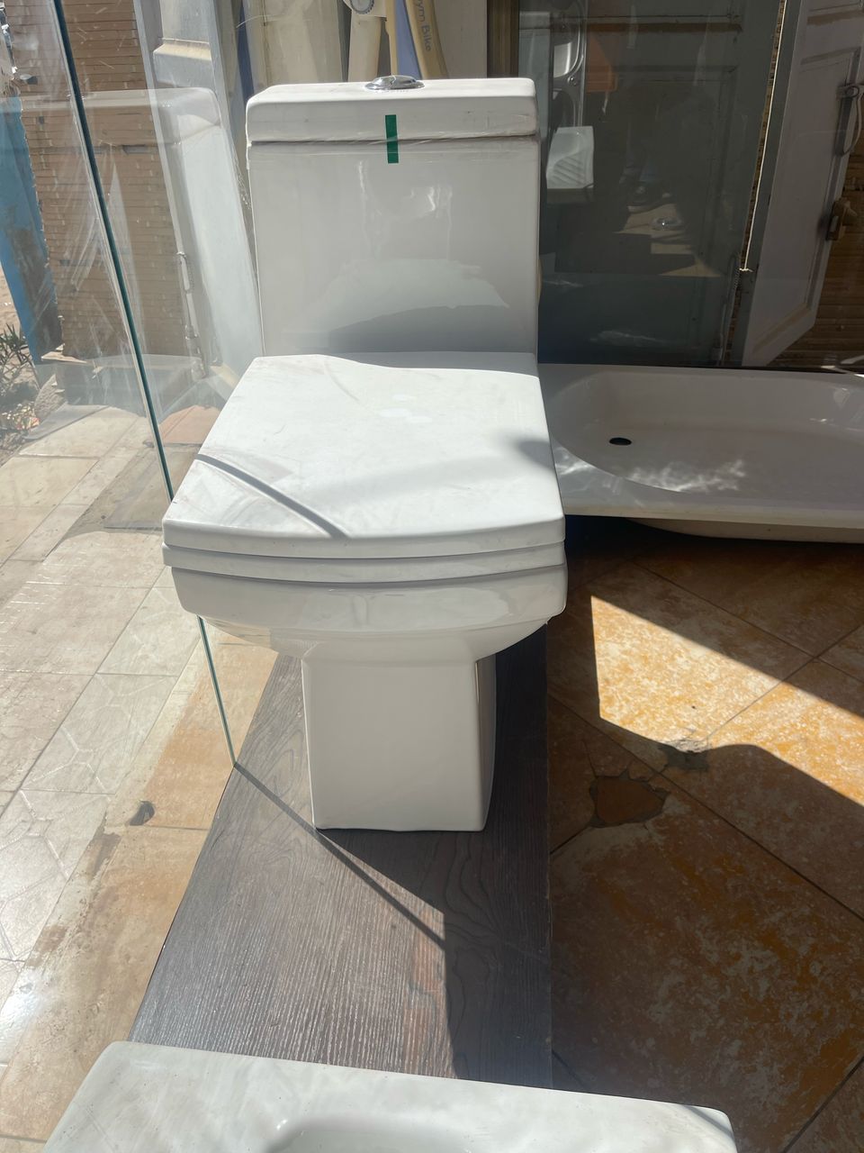 WC monobloc
